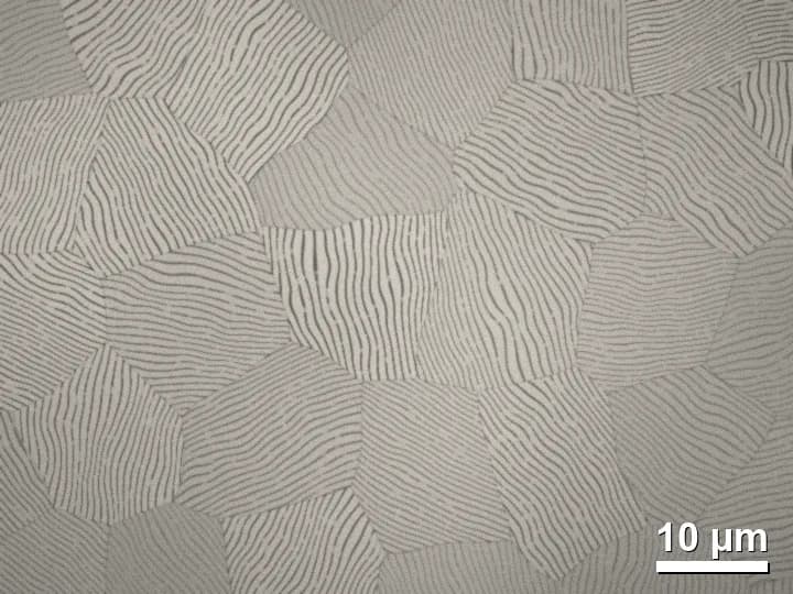 Perlit lamelar baja eutektoid, perbesaran 1000 kali